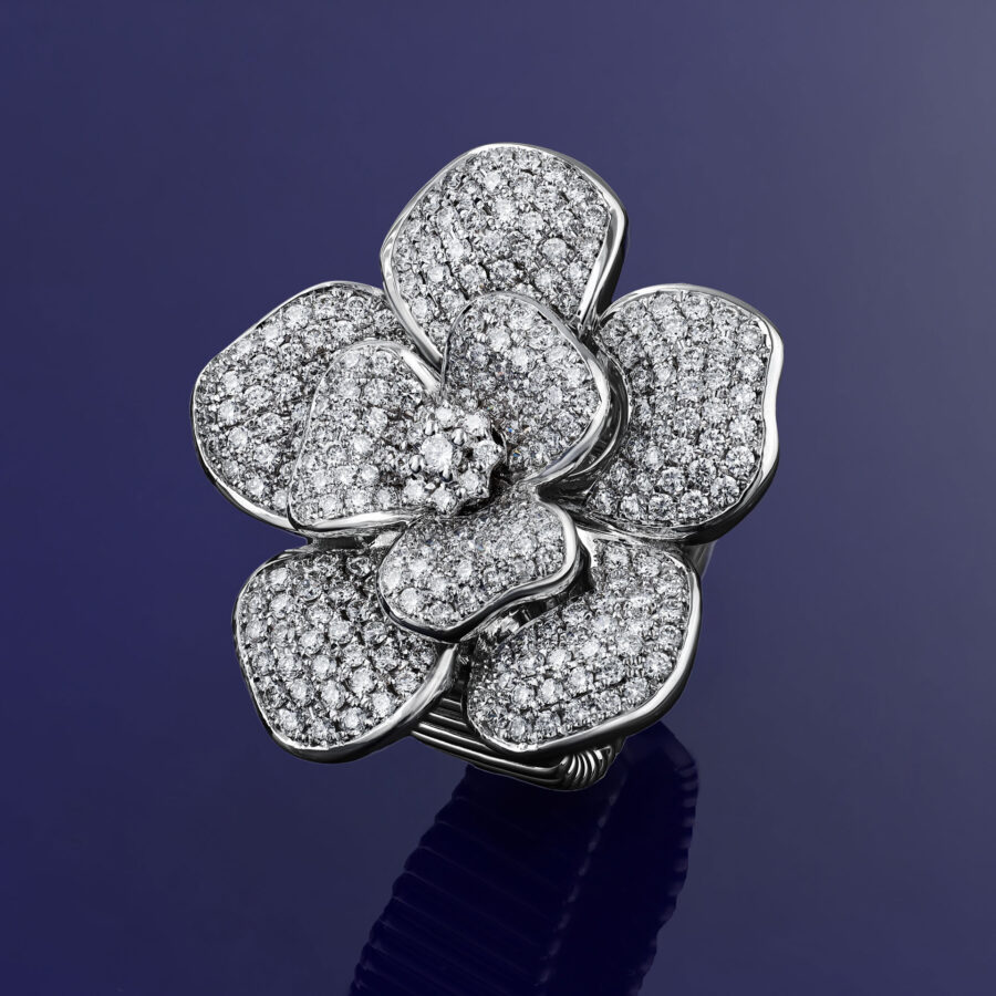 La Rosina Bianca - Ring