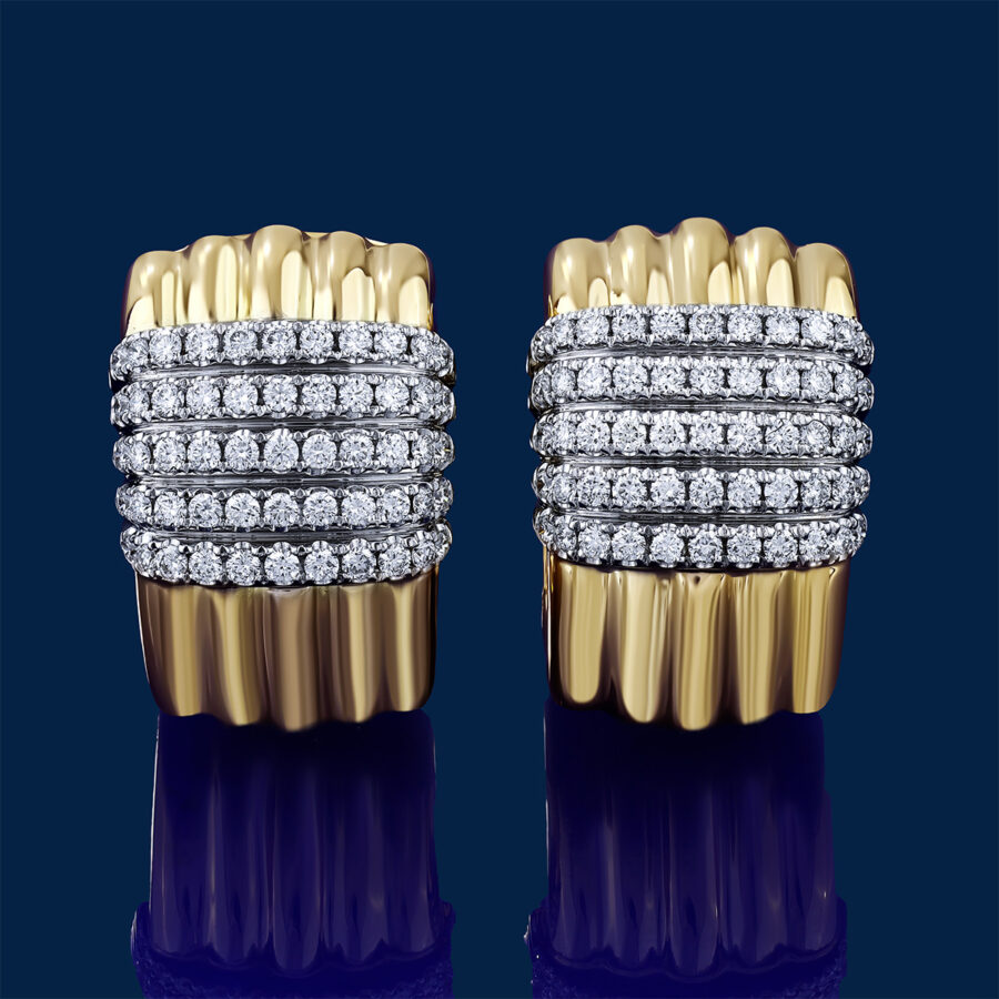 Toledo Sculpted Earrings